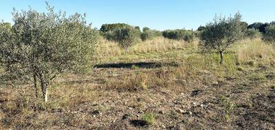 Terrain à Pouzols en Hérault (34) de 6825 m² à vendre au prix de 30800€ - 2