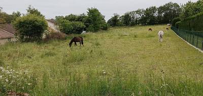 Terrain à Eyjeaux en Haute-Vienne (87) de 70977 m² à vendre au prix de 336000€ - 4