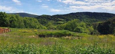 Terrain à Taussac-la-Billière en Hérault (34) de 1917 m² à vendre au prix de 99000€ - 1