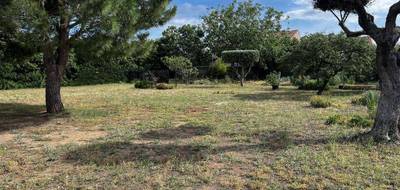 Terrain à Marseillan en Hérault (34) de 1020 m² à vendre au prix de 520000€ - 1