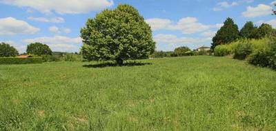 Terrain à Puy-l'Évêque en Lot (46) de 0 m² à vendre au prix de 41200€ - 4