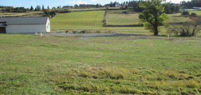 Terrain à Grandrieu en Lozère (48) de 1500 m² à vendre au prix de 39300€ - 3