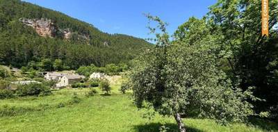 Terrain à Lanuéjols en Lozère (48) de 1196 m² à vendre au prix de 33000€ - 2