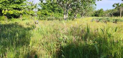 Terrain à Montagnac en Hérault (34) de 4980 m² à vendre au prix de 58000€ - 1