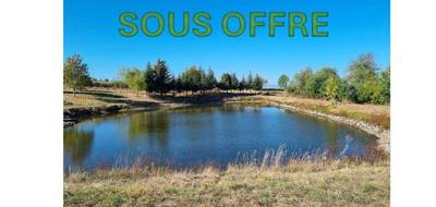 Terrain à Saint-Médard-en-Forez en Loire (42) de 8000 m² à vendre au prix de 95000€ - 1