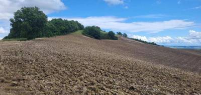 Terrain à Beaumont-de-Lomagne en Tarn-et-Garonne (82) de 200000 m² à vendre au prix de 176000€ - 3