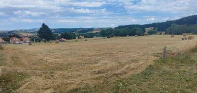 Terrain à Bel-Air-Val-d'Ance en Lozère (48) de 1150 m² à vendre au prix de 20250€ - 2