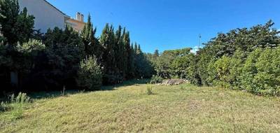 Terrain à Cannes en Alpes-Maritimes (06) de 706 m² à vendre au prix de 595000€ - 3