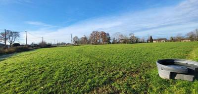 Terrain à Pont-de-Vaux en Ain (01) de 6008 m² à vendre au prix de 195000€ - 3