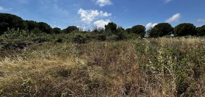 Terrain à Marseillan en Hérault (34) de 1248 m² à vendre au prix de 15000€ - 2