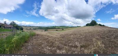 Terrain à Beaumont-de-Lomagne en Tarn-et-Garonne (82) de 220000 m² à vendre au prix de 192600€ - 2