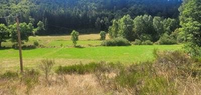 Terrain à Pierrefiche en Lozère (48) de 4839 m² à vendre au prix de 35000€ - 1