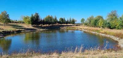 Terrain à Saint-Médard-en-Forez en Loire (42) de 8000 m² à vendre au prix de 95000€ - 1