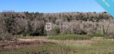 Terrain à Les Eyzies en Dordogne (24) de 0 m² à vendre au prix de 56600€ - 1