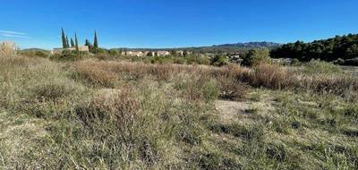 Terrain à Paziols en Aude (11) de 1238 m² à vendre au prix de 66000€ - 3