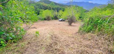 Terrain à Oletta en Haute-Corse (2B) de 3218 m² à vendre au prix de 295000€ - 2