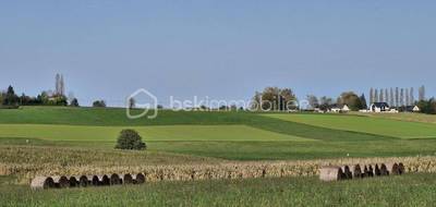 Terrain à Oueilloux en Hautes-Pyrénées (65) de 3239 m² à vendre au prix de 43500€ - 2