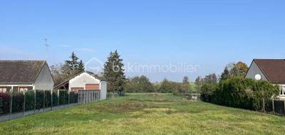 Terrain à Ouzouer-sous-Bellegarde en Loiret (45) de 2318 m² à vendre au prix de 29000€ - 1