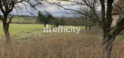 Terrain à Merkwiller-Pechelbronn en Bas-Rhin (67) de 1915 m² à vendre au prix de 171000€ - 3