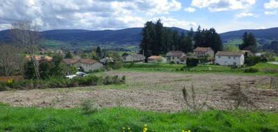 Terrain à Noirétable en Loire (42) de 1235 m² à vendre au prix de 38000€ - 1