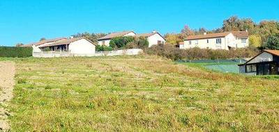 Terrain à Rosières en Haute-Loire (43) de 1622 m² à vendre au prix de 39000€ - 4