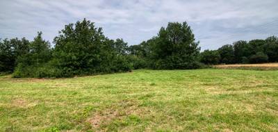 Terrain à Mons en Haute-Garonne (31) de 7103 m² à vendre au prix de 164000€ - 4