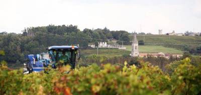 Terrain à Bayon-sur-Gironde en Gironde (33) de 120000 m² à vendre au prix de 126800€ - 2