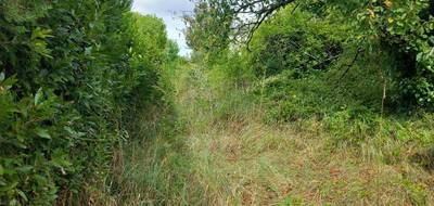 Terrain à Bourgueil en Indre-et-Loire (37) de 1241 m² à vendre au prix de 55000€ - 1