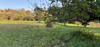 Terrain à Belpech en Aude (11) de 3174 m² à vendre au prix de 65000€ - 3