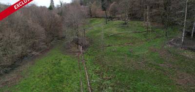 Terrain à Forgès en Corrèze (19) de 13515 m² à vendre au prix de 20000€ - 2