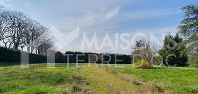 Terrain et maison à Mazamet en Tarn (81) de 1220 m² à vendre au prix de 214900€ - 2