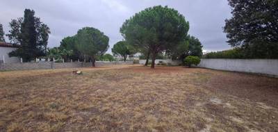 Terrain à Magalas en Hérault (34) de 1306 m² à vendre au prix de 195000€ - 1