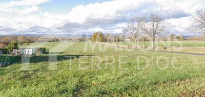 Terrain à Massaguel en Tarn (81) de 1150 m² à vendre au prix de 46000€ - 1