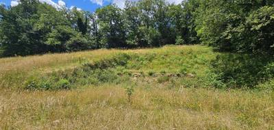 Terrain à Belcastel en Aveyron (12) de 4450 m² à vendre au prix de 39500€ - 2