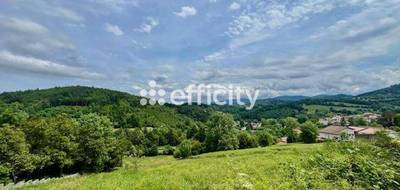 Terrain à La Monnerie-le-Montel en Puy-de-Dôme (63) de 8300 m² à vendre au prix de 63800€ - 2