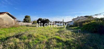 Terrain à Gujan-Mestras en Gironde (33) de 1300 m² à vendre au prix de 525000€ - 1