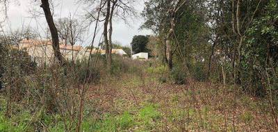 Terrain à Saint-Georges-d'Oléron en Charente-Maritime (17) de 813 m² à vendre au prix de 212000€ - 1