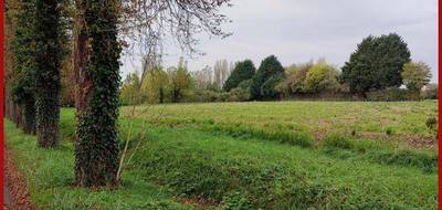 Terrain à Nogent-le-Bernard en Sarthe (72) de 8405 m² à vendre au prix de 59800€ - 2