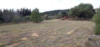 Terrain à Mailhac en Aude (11) de 1400 m² à vendre au prix de 128000€ - 3