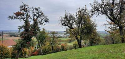 Terrain à Langres en Haute-Marne (52) de 13000 m² à vendre au prix de 225000€ - 4