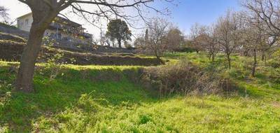 Terrain à Rapale en Haute-Corse (2B) de 1984 m² à vendre au prix de 149000€ - 3