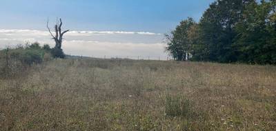 Terrain à La Chapelle-Moulière en Vienne (86) de 1680 m² à vendre au prix de 43000€ - 1