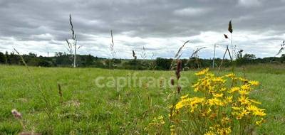 Terrain à Saint-Laurent-du-Plan en Gironde (33) de 1000 m² à vendre au prix de 65000€ - 1