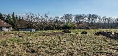 Terrain à Dampierre-en-Burly en Loiret (45) de 1369 m² à vendre au prix de 44000€ - 3