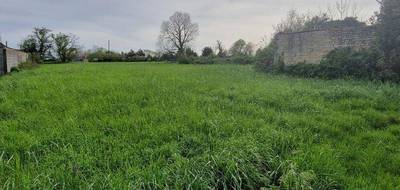 Terrain à Annezay en Charente-Maritime (17) de 1121 m² à vendre au prix de 34000€ - 2