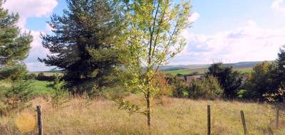 Terrain à Villeneuve-l'Archevêque en Yonne (89) de 1000 m² à vendre au prix de 15000€ - 1