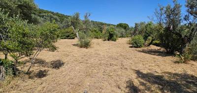 Terrain à Claviers en Var (83) de 1594 m² à vendre au prix de 220000€ - 2