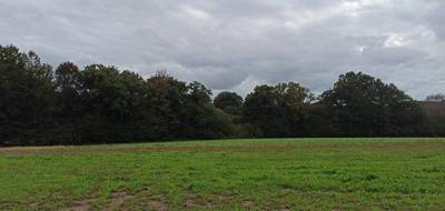 Terrain à Locmalo en Morbihan (56) de 1003 m² à vendre au prix de 27069€ - 2