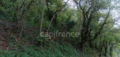 Terrain à Parigny-les-Vaux en Nièvre (58) de 2288 m² à vendre au prix de 21000€ - 3