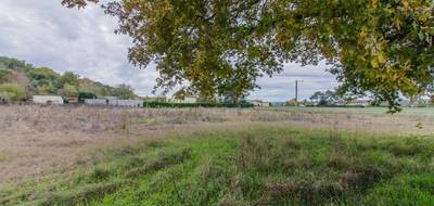 Terrain à Sourzac en Dordogne (24) de 2456 m² à vendre au prix de 39000€ - 4